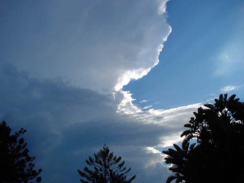Storm